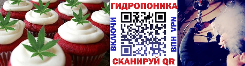 МЕГА онион  Дмитровск  Еда ТГК конопля 
