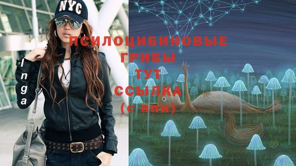 а пвп мука Гусиноозёрск